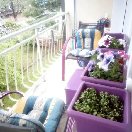 Goca Apartman