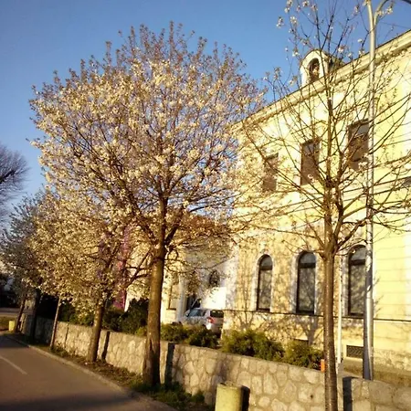 Goca Apartman * Banja Luka